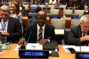 14eme forum des Nations Unies pour les forêts: le Ministre Donwahi a présenté les efforts du gouvernement ivoirien